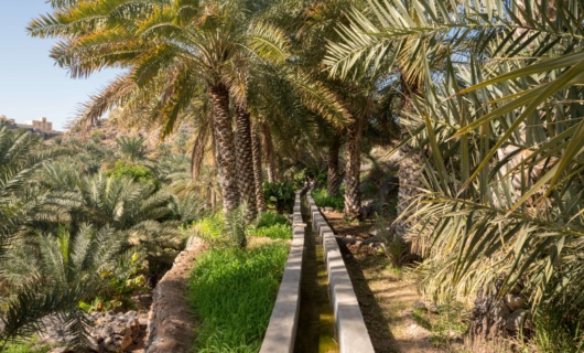 systeme irrigation falaj oman