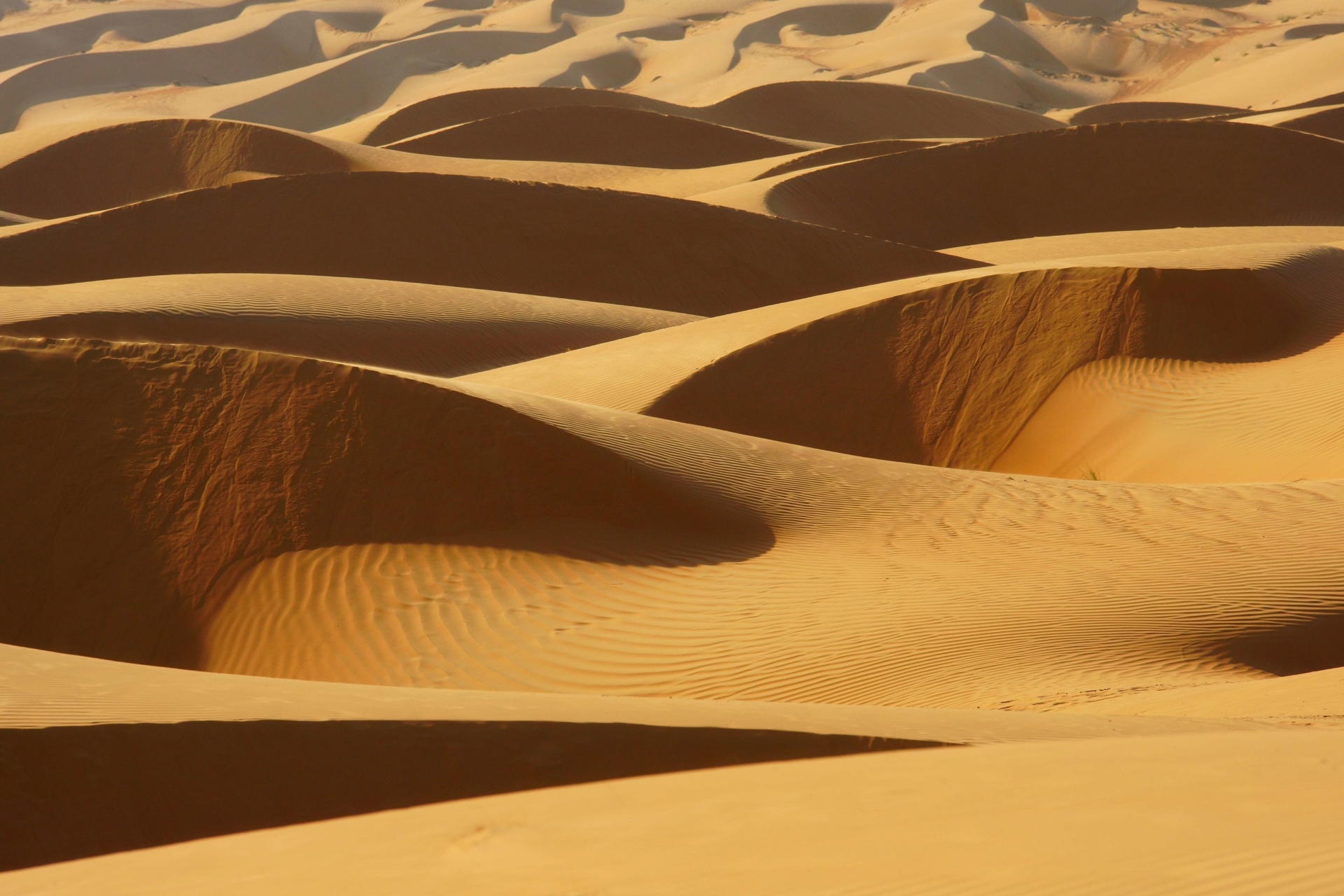 wahiba-sands-desert