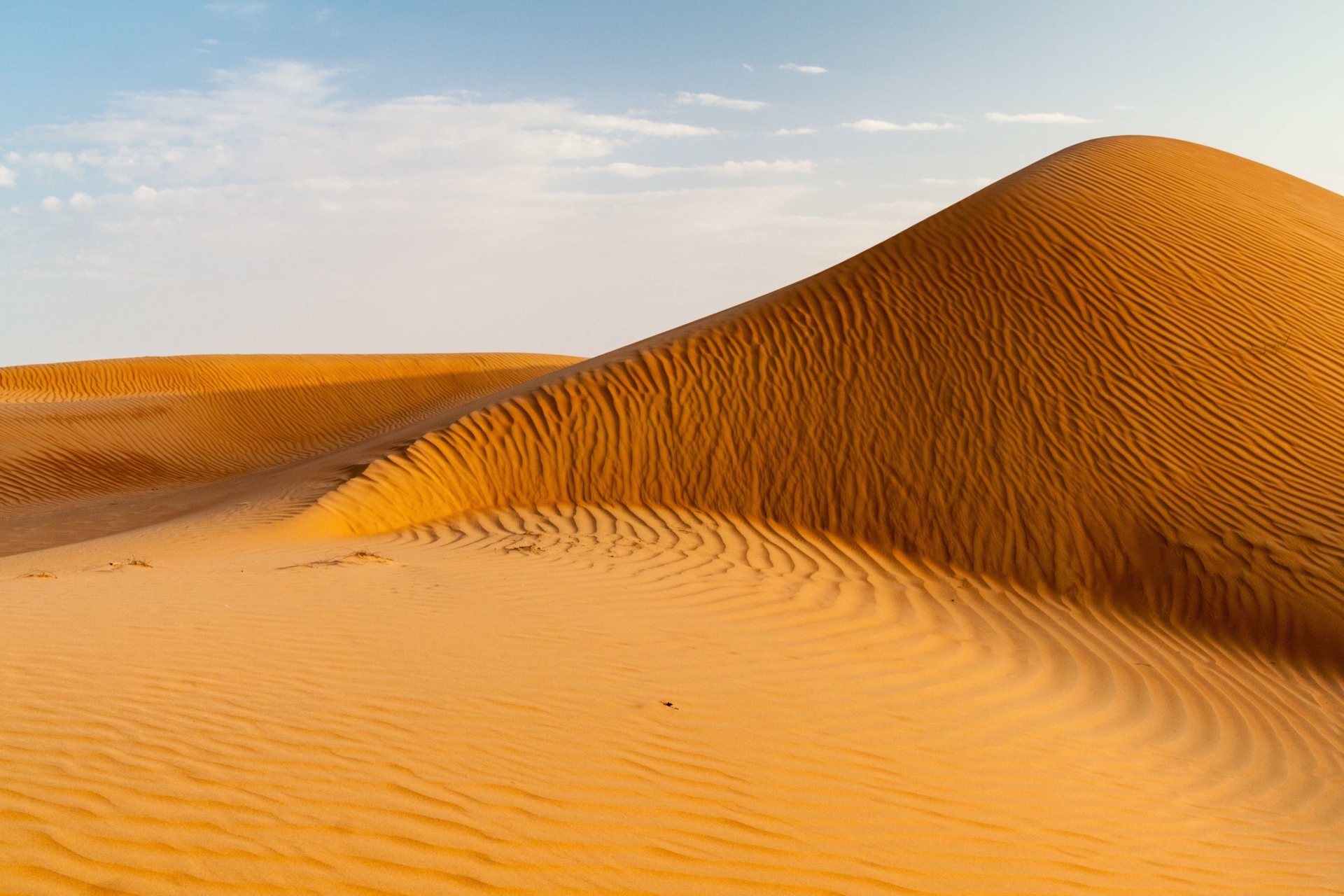 désert rouge de wahiba