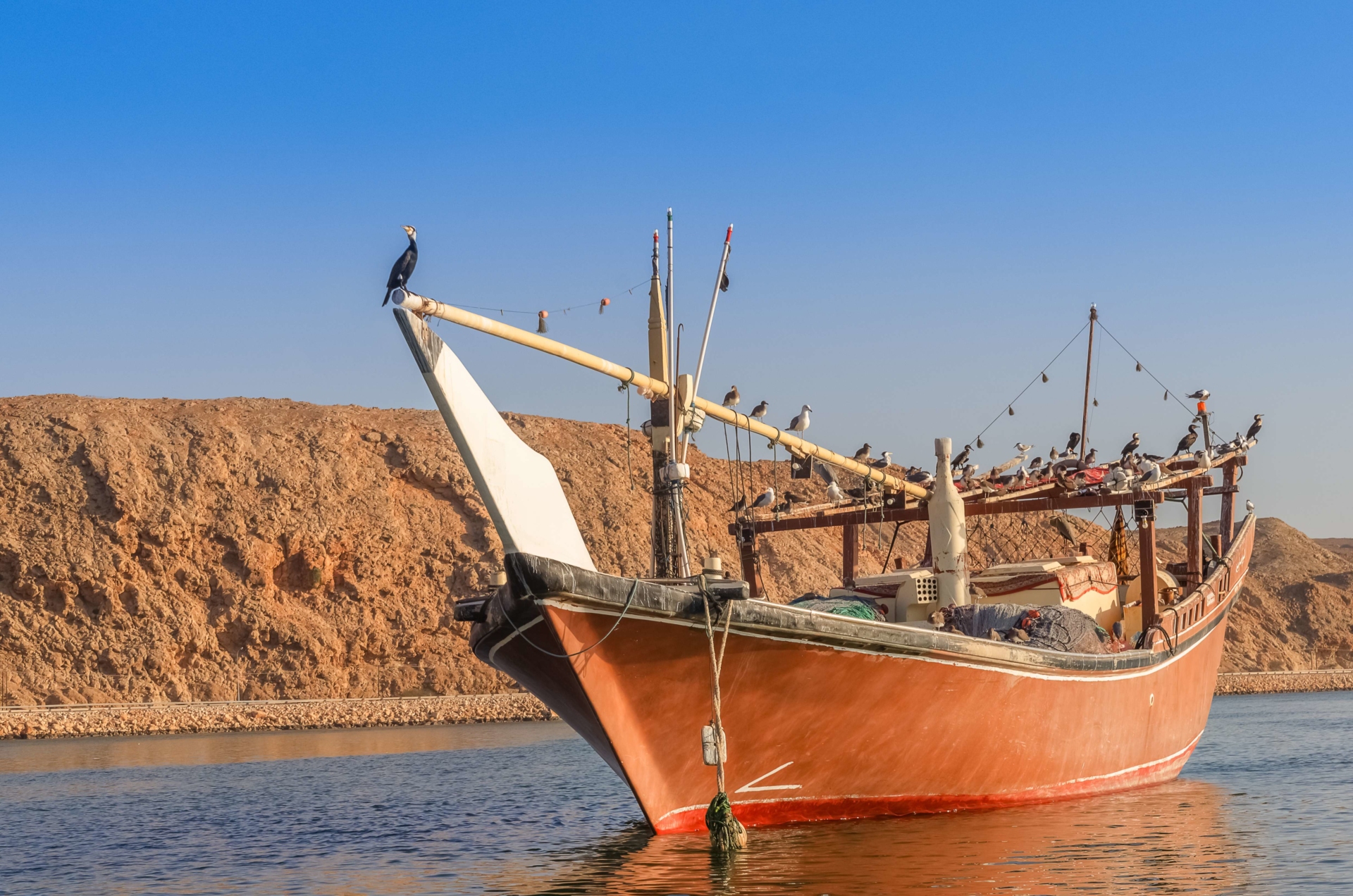 dhow-oman