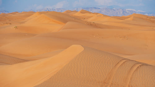 Wahiba Sands