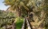 systeme irrigation falaj oman