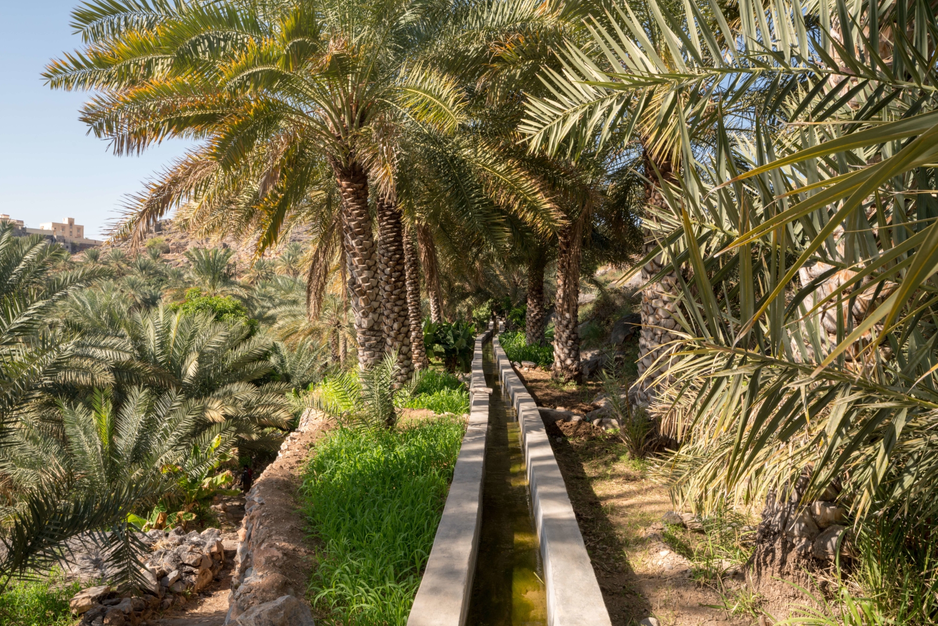 systeme irrigation falaj oman
