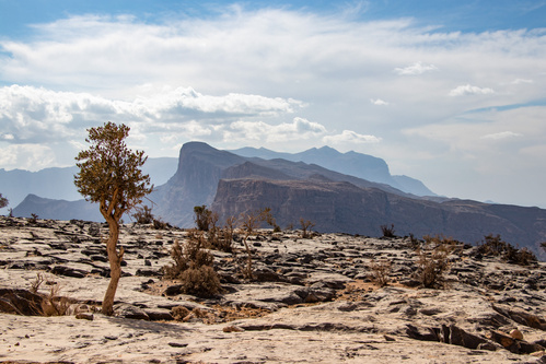 Jabal Shams