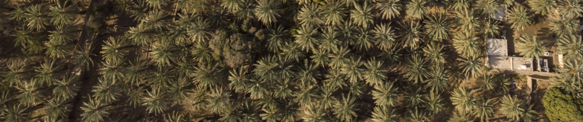 al hamra vue du ciel