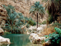 Wadi Shab