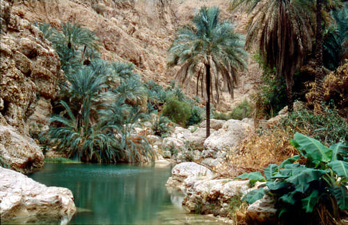 Wadi Shab
