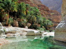 Le Wadi Shab