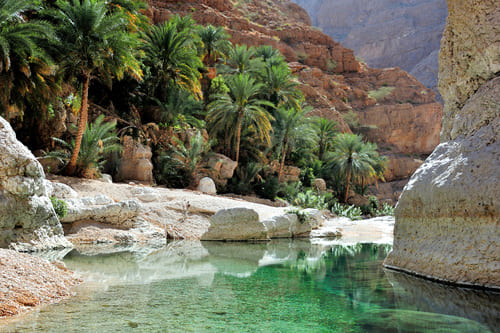 Le Wadi Shab