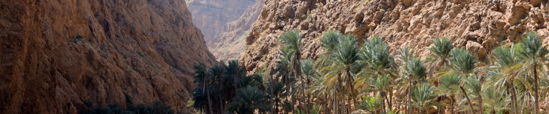 wadi-shab-entree